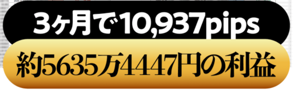 bXLFXE310937pipsA5635~.PNG